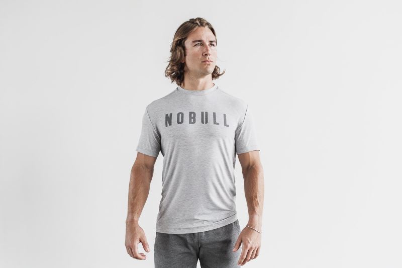 Nobull Klassische Colors T-shirts Herren Grau | LMHRWE281